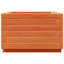 Bhavika Planter Box-1814111163-1814111146
