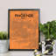 Phoenix City Map - No Frame Print-318096480
