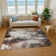 Premium Machine Washable Marasco AMF1640 Abstract Rug