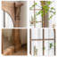 Miroirs pleine longueur rectangulaires en bois massif