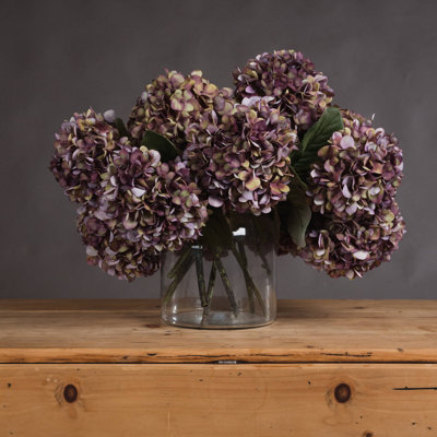 Anastasija Arrangement