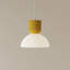 Buia Pendant Light-1099508002-1080129582