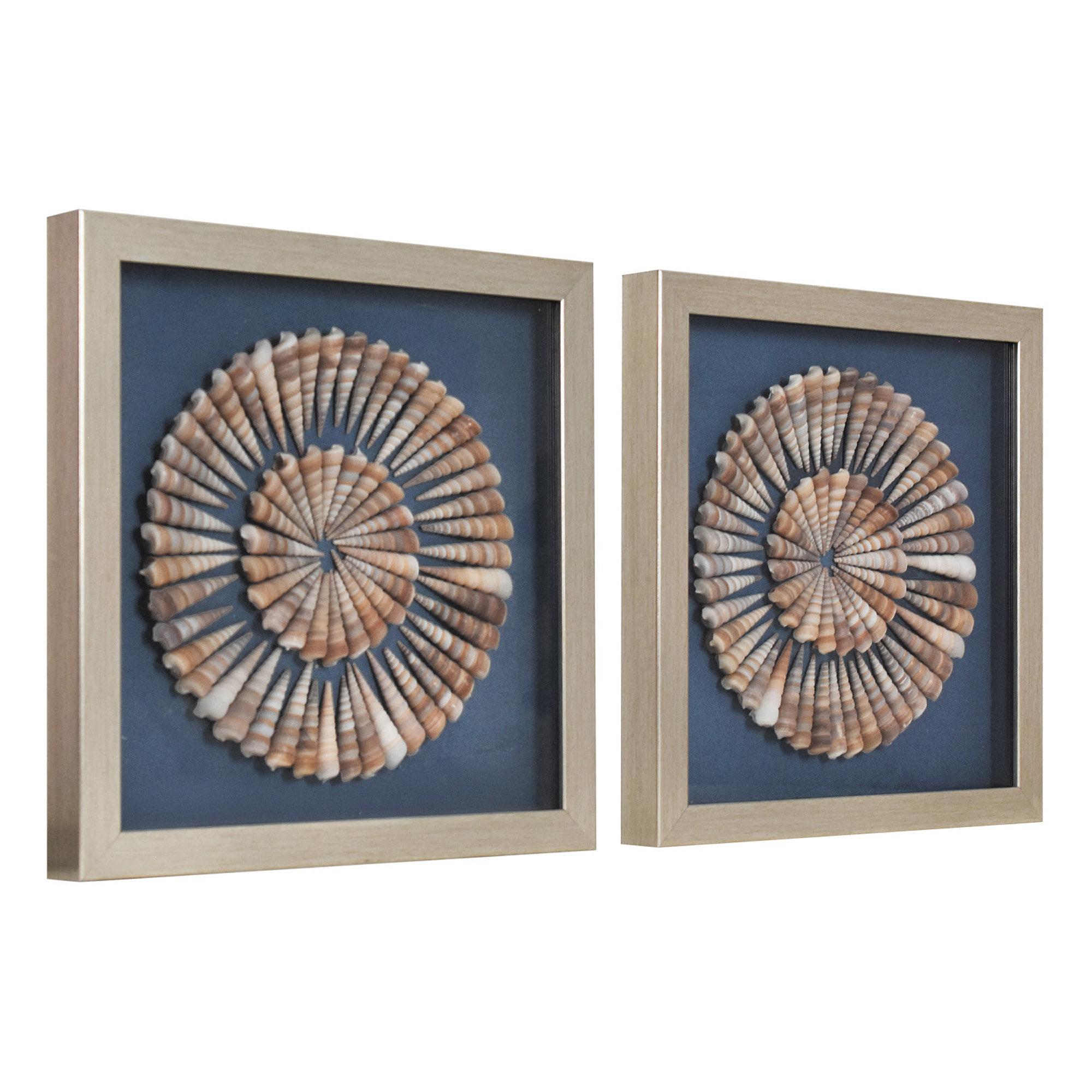 Trinx Natural Cone Shell Panel Wall Art Set with Champagne Frame ...
