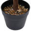 60cm Faux Boxwood Plant in Wood Pot