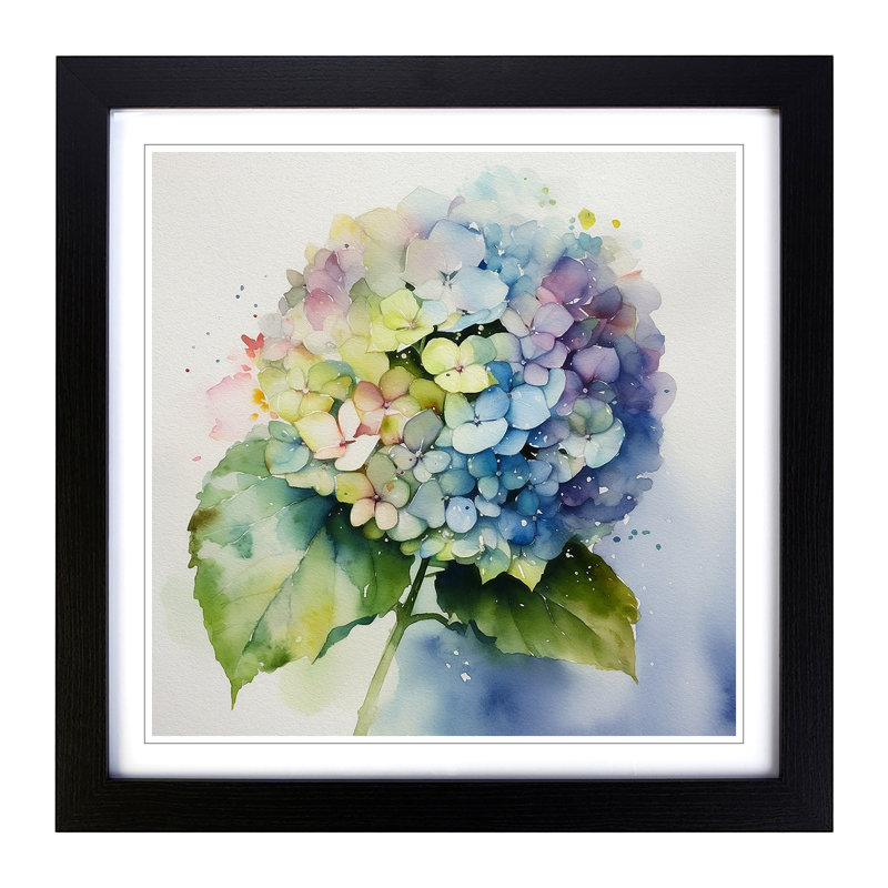 Hydrangea Watercolour No.4 - Framed Print, Black