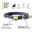 Built Pet Collar