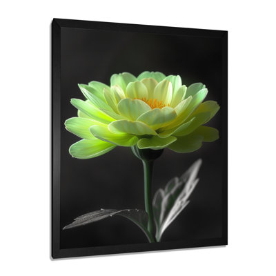 Vert, noir, jardin, glamour, souci, art mural