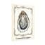 Illustration rétro animaux animaux coquillage huître-1573797878
