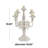 19'' H Metal Tabletop Candelabra-30754790