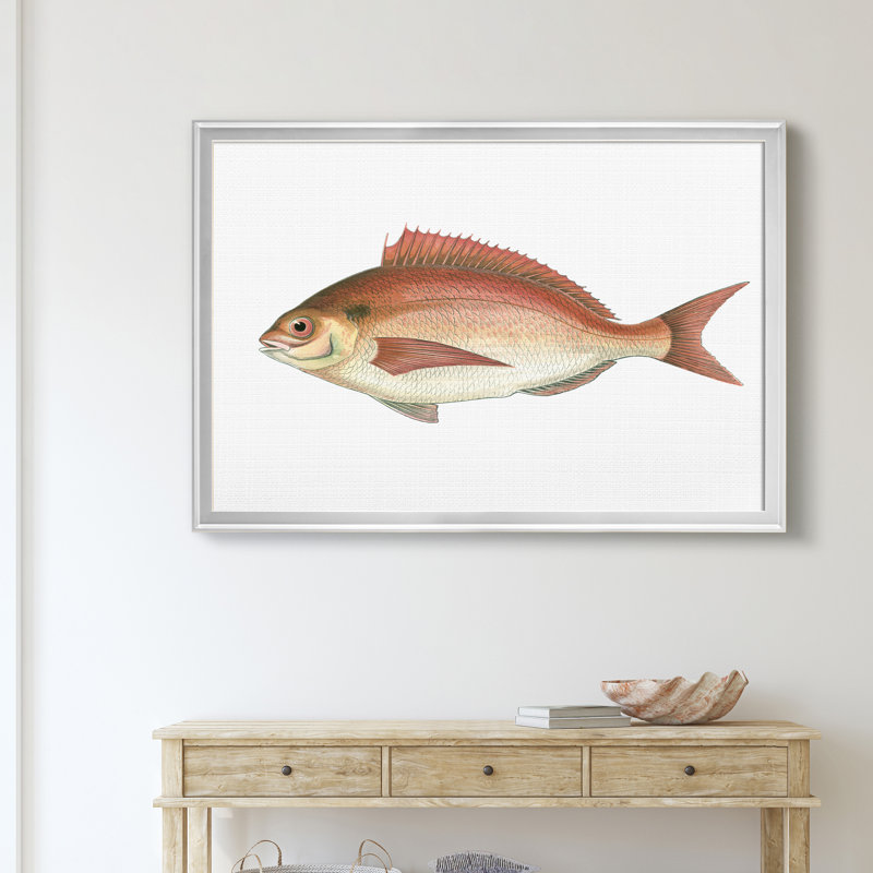 «Small Small Antique Fish III», reproduction d'art graphique sur toile encadrée, H 30,5 po x l 42,5 po x P 1,5 po, Argent