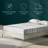 Leesa Original Foam 10'' Medium Memory Foam Mattress-92499920