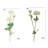 27" Artificial White Ranunculus Stems