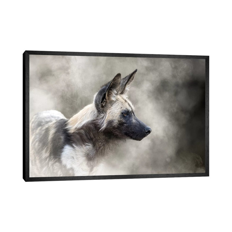 African Wild Dog In The Dust by Susan Schmitz - Print on Canvas, Black Framed, 101.6 cm H x 66.04 cm W