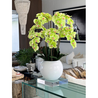 Phalaenopsis Orchid Floral Arrangement in Pot