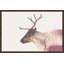 Parvez Taj - Single Picture Frame Print-19700948