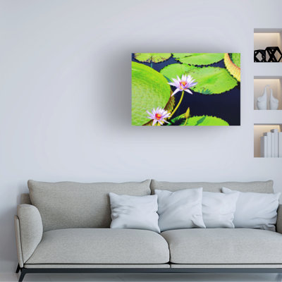 Kent Flora Lily Pads Canvas Art