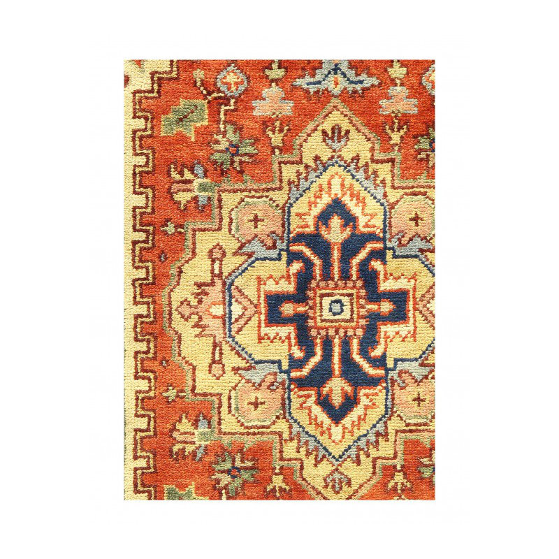 Barriner Hand Knotted Area Rug in Rust