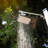 XtremepowerUS 6FT10 Solar Powered Outdoor Shower with Footwash and Adjustable Temperature, Freestanding Design