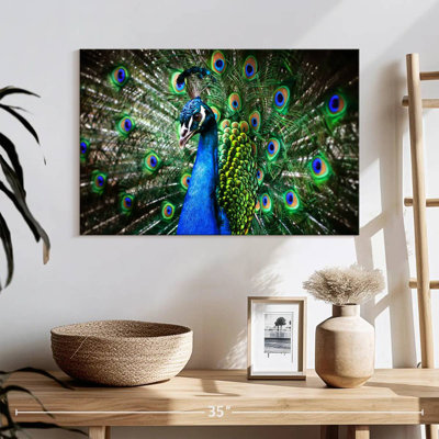 Brampt Peacock Show