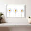 Marguerites plumées-255849326-255849319