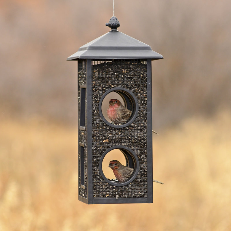 Black Metal Fly-Through Hanging Wild Bird Feeder