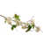 White is out of stock selected