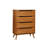 Contemporary Style Chest-1778750804