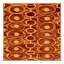  Tapis lavable Jalebi Desserts-171572276