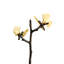 Butterfly Ginkgo Salt And Pepper Shaker Set