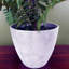70cm Faux Fern Plant in Planter