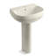 Wellworth Ceramic Pedestal Bathroom Sink with Overflow-1958769602-1993926534