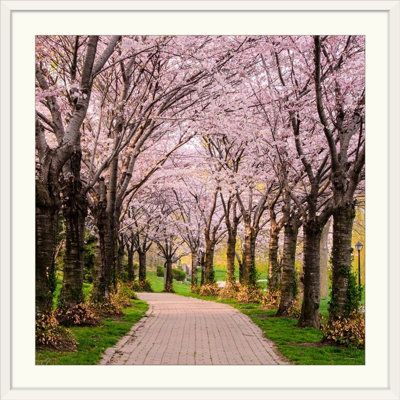 « cerise fleur trail » chuck burdick, reproduction de photo