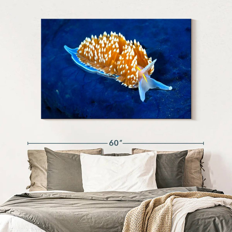 Crowle Glowing Nudibranch, 34" H x 51" W
