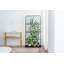 Treillis de support pour plantes Ringwald