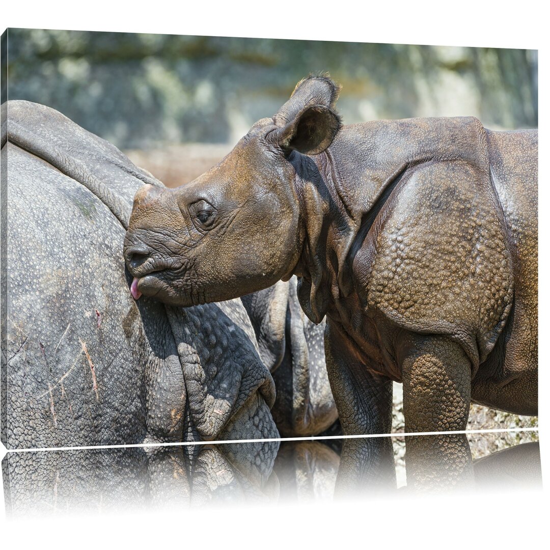 Leinwandbild Junges Nashorn