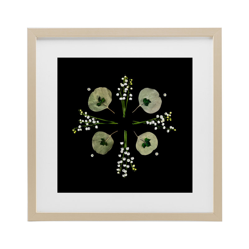 «Leaves & Wildflowers on Black», reproduction encadrée sous verre, conception de Beth Adoette, H 16 po x l 16 po