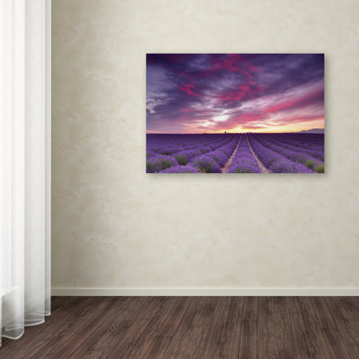 « rose et mauve », impression sur toile tendue