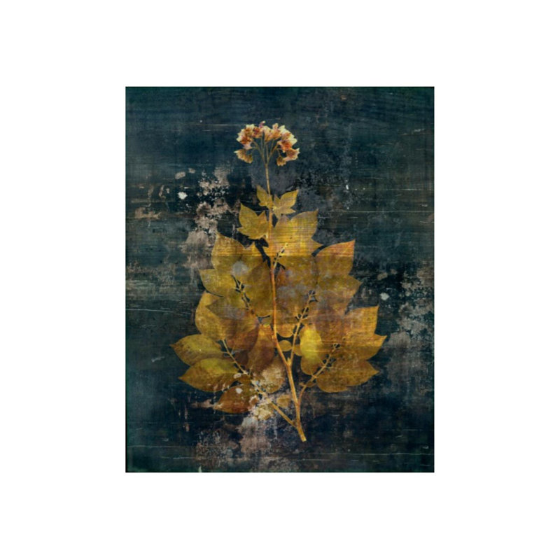 «Aroma IV» par Zoey Riley - reproduction d'art, Gel coupé au couteau, H 30 po x l 24 po