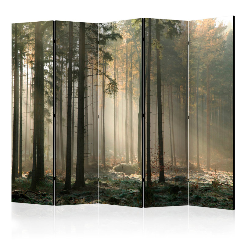 Room Divider - Foggy November Morning II [Room Dividers]