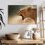 Brampt majestueux lionne-108711380