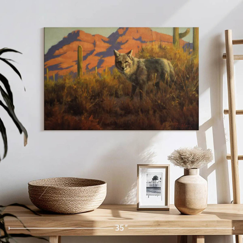 Wild Desert Coyote