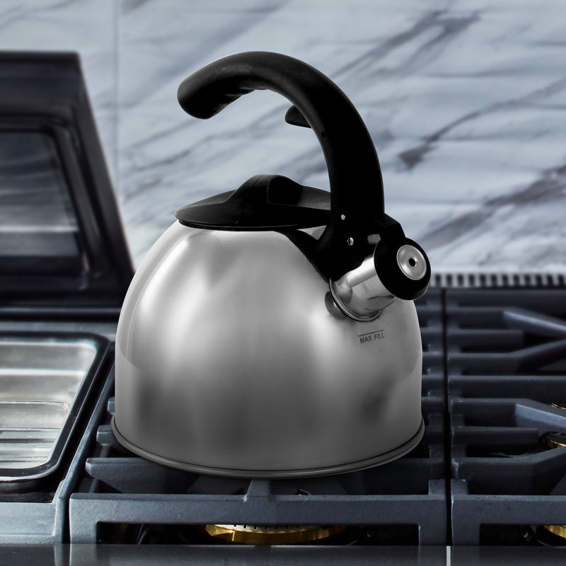 Mr. Coffee Stainless Steel Stovetop Kettle