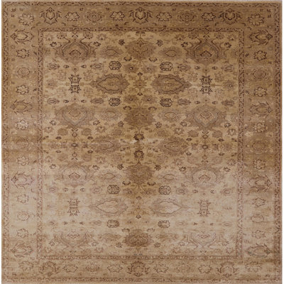 Oriental Indoor Rug