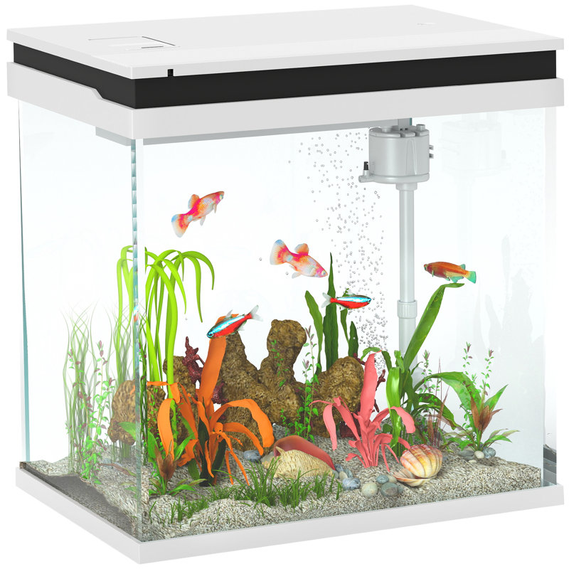 Fish Bowl