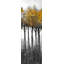 «Illuminated Forest - Landscape», reproduction encadrée avec passe-partout