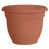  Terra Cotta selected