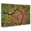 Road Through The Forest - Wrapped Canvas-55339574