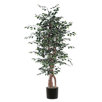 artificial ficus tree