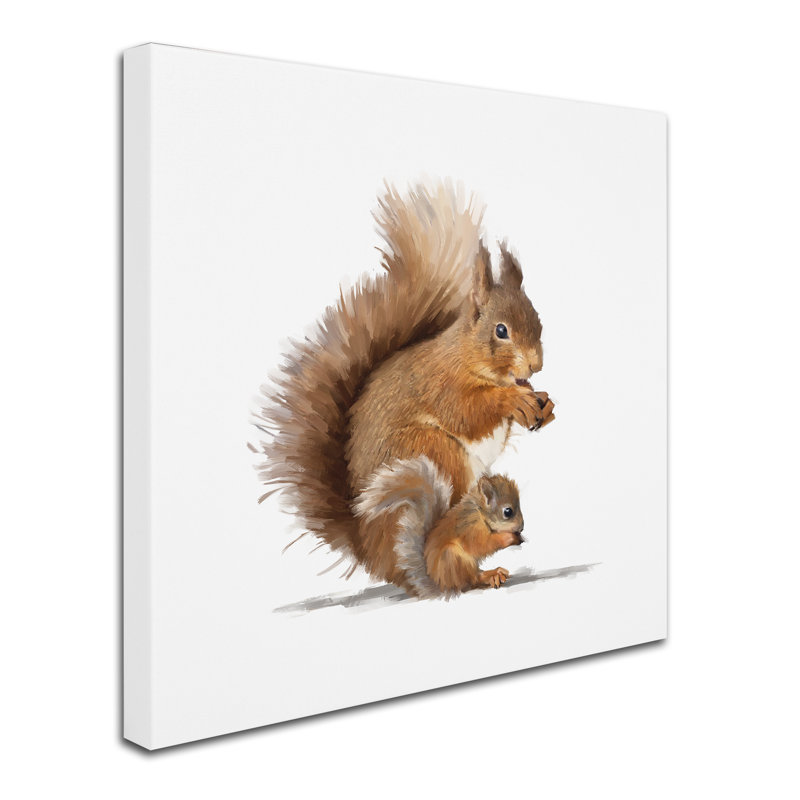 Armand «Squirrel», reproduction sur toile, H 24 po x l 24 po x P 2 po
