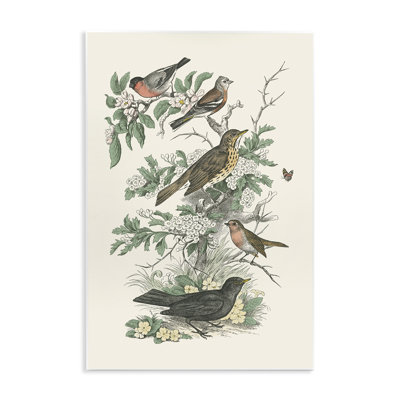 "Honeybloom Birds" perché, art mural par Wild Apple Portfolio
